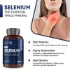 Selenium 200mcg - 1 Year Supply - 365 Selenium Tablets