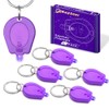 RaySoar 6 Pack Mini UV LED Keychain, 395nm UV Keychain