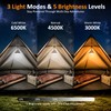 20000mAh Rechargeable Camping Lantern, 1300LM Ultra Bright LED Light, Fast