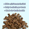 healthybud Mini Dog Training Treats Beef 3 PCK
