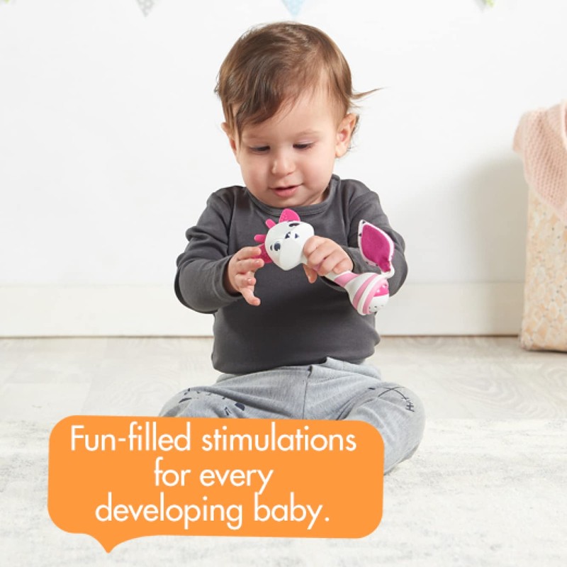 Tiny Love Leonard Teether Rattle Toy