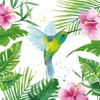 20 Napkins Hummingbird in Tropical Forest Animals Table Decoration 33