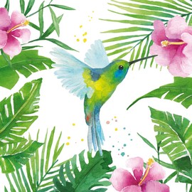 20 Napkins Hummingbird in Tropical Forest Animals Table Decoration 33 x 33 cm