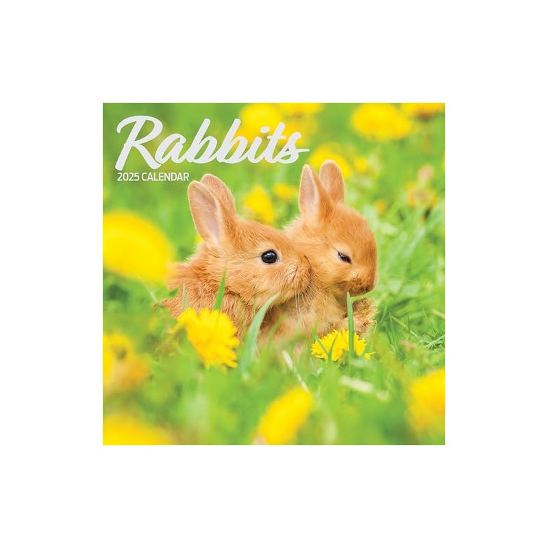Rabbits 2025 Traditional Calendar