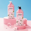 애경 [1+1 Additional Discount] Kerasis Cherry Blossom Shampoo/Conditioner 1.5L