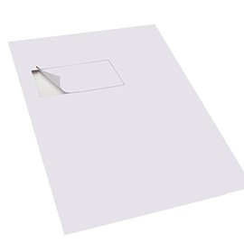 Triplast 110 x 60 mm A4 Integrated Labels Address Peel Off Dispatch Notes Packing Slips - White (Pack of 100)