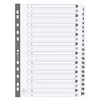 Exacompta - Ref MWD1-20Z - Mylar Printed Indices - For