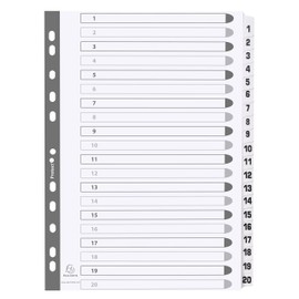 Exacompta - Ref MWD1-20Z - Mylar Printed Indices - For Use WithA4 Documents, Pre-Punched, 160gsm White Card with Reinforced Plastic Tabs, FSC-Certified - 20-Part Dividers (1-20)