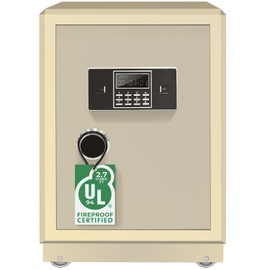 EconoHome Home Safe Heatproof Up to 1700°F - 2.7 Cu. Ft Interior Capacity with Smart Lock System, Master Key - Wall-Mounted Steel Fire Proof Safe for Home Documents, Cash, Jewelry, Documents, Gold