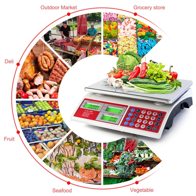 CAMRY Digital Price Computing Scale 66lb/30kg Commercial Produce Scale with