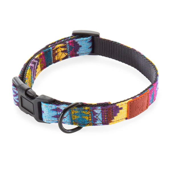 Embark Urban Dog Collar - Dog Collars for Medium Dogs,