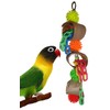 Fetch-It Pets 2 Pack Bird/Parrot Block Party & Fiesta Foraging