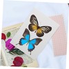 VILLFUL Specimen Pinning Board Butterfly Spreading Tool for Entomology Convenient