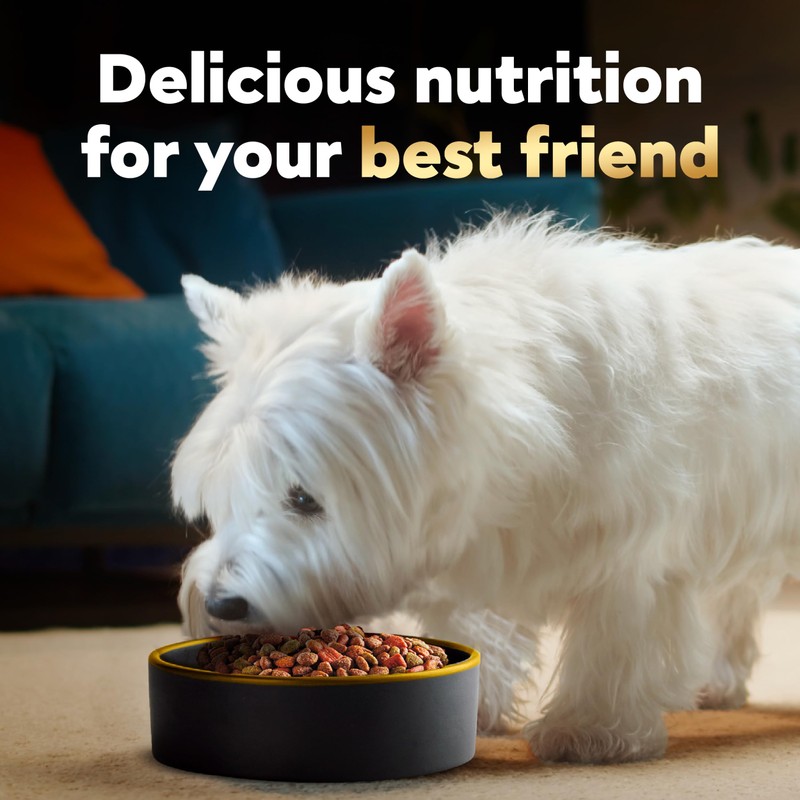 Cesar Small Breed Dry Dog Food Filet Mignon Flavor and