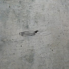 Decal Stickers Of Auto Graphics Flame (Metallic Silver) Premium Waterproof Vinyl Decal Stickers For Laptop Phone Accessory Helmet Car Window Mug Tuber Cup Door Wall Decoration ANDstic507676SIAA