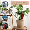 SiliFine 6 Sets Plant Watering Devices Include Terracotta Self Watering