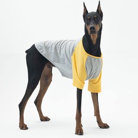 Lucky Petter Dog Shirt for Small and Large Dogs Raglan Cotton T-Shirts Soft Breathable Dog Shirts pet Clothes Gray Series (X-Large, Gray/Yellow)