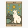 The Star Cat Tarot Waterproof Vinyl Window Bumper Sticker Decal