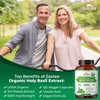 Zazzee USDA Organic Holy Basil 10:1 Extract, 6000 mg Strength,