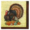 Iconikal Disposable Paper Thanksgiving Party Napkins, Harvest Turkey, Beverage Cocktail