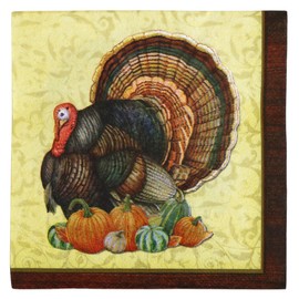 Iconikal Disposable Paper Thanksgiving Party Napkins, Harvest Turkey, Beverage Cocktail Dessert Size, 80-Count
