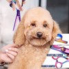 Gimars Dog Grooming Scissors Kit Professional 4CR with Safety Round