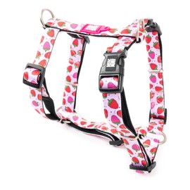 Max & Molly Dog Harness in H-shape, Ultra Comfortable Neoprene Harness for Small Dogs, Strawberry Dream, S, Padded, Safe and Ultralight – Comfort for Your Faithful Companion