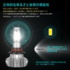 Autofeel Headlight LED HB4 6500K 8000LM DC12-24V Bridgelux 360 Degree