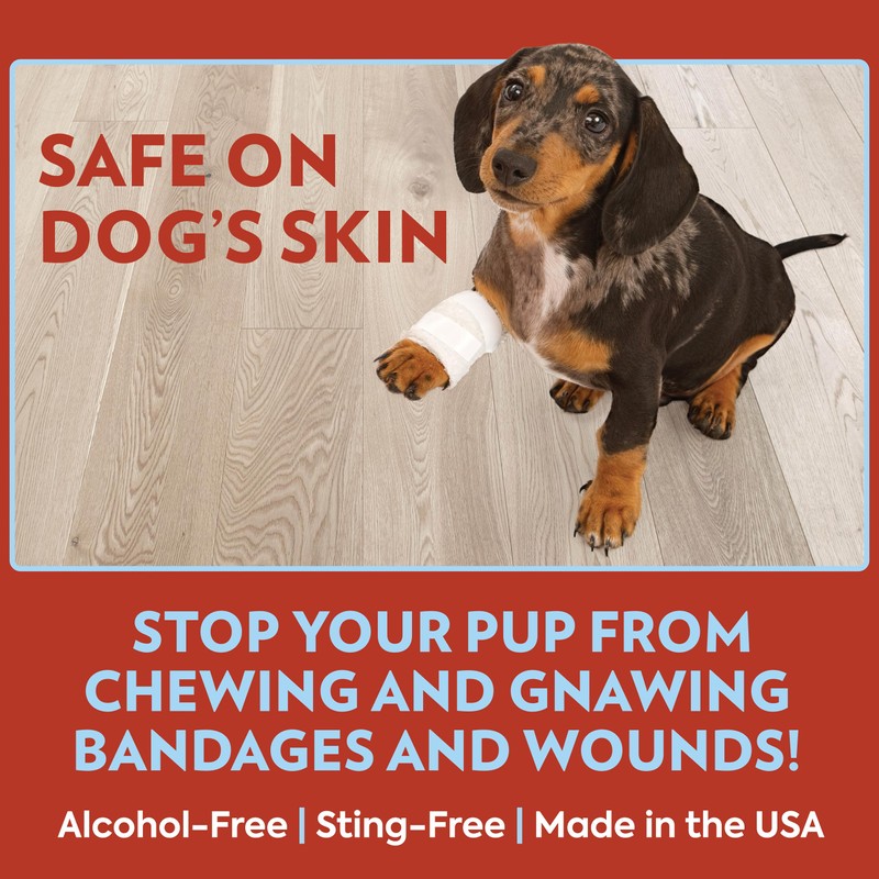 OUT! PetCare No Chew Bitter Cherry Flavor Deterrent, Puppy Training,