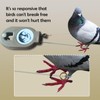 (1pcs) Mousetraps Bird Traps Used to Catch mice Sparrows Small