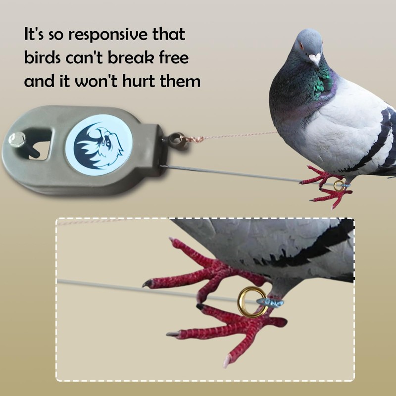 (1pcs) Mousetraps Bird Traps Used to Catch mice Sparrows Small