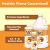 Peach Tree Fertilizer for All Peach, Nectarine and Stone Fruit