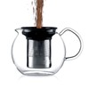 Bodum ASSAM Tea Press, Permanent Filter, Glass Handle, 1.5 L/51