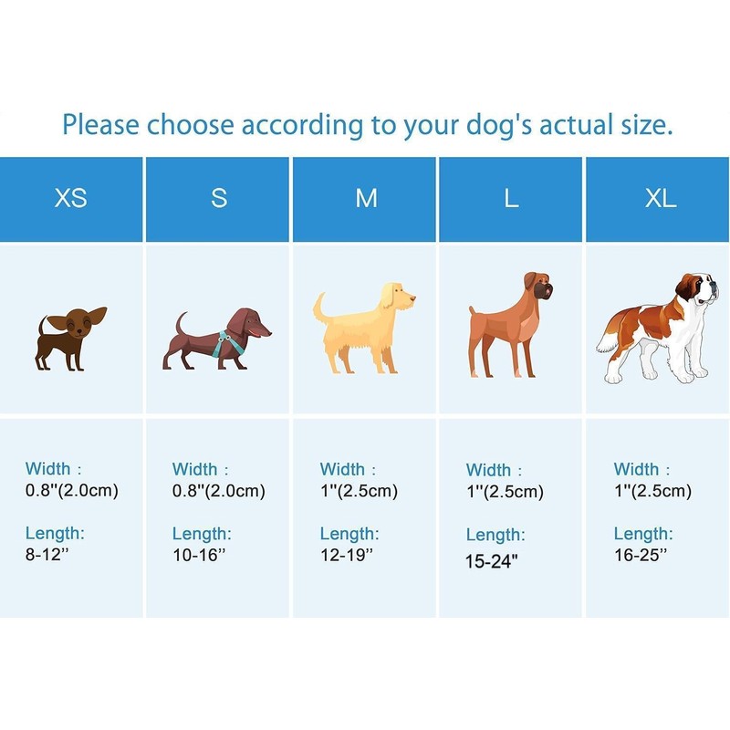 Stud Muffin Dog Bow Tie Dog Collar Accessory, Detachable Bowtie,