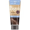 Hoyu Bigen Color Treatment DBR (Dark Brown) 6.3 oz (180