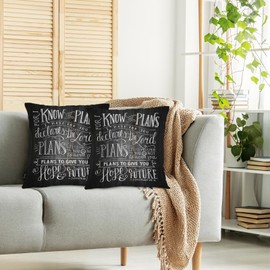 Swono Bible Verse Home Decorative Throw Pillows Covers, Holy Bible Set of 2 Pillow Case for Livingroom Bedroom, Boho Pillow Cushion Covers for Man Woman 18"X18", for I Know The Plan I Have for You