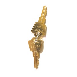 Hudson Lock Replacement Key ES105 x2