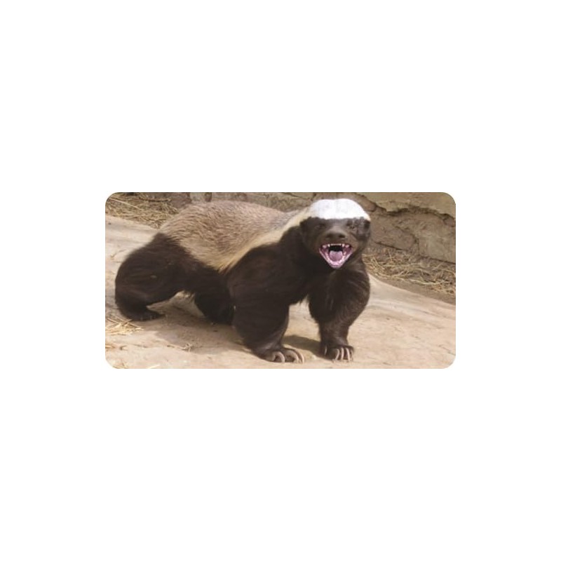 Honey Badger #1 Photo License Plate