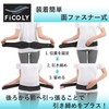 FiCOLY FW-4 Pelvic Belt, For Lower Back, Mesh, Lumbar Supporter,