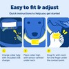 PetSafe Audible Bark Collar - Discourages Excessive Barking - SoundBurst
