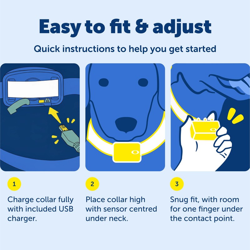 PetSafe Audible Bark Collar - Discourages Excessive Barking - SoundBurst
