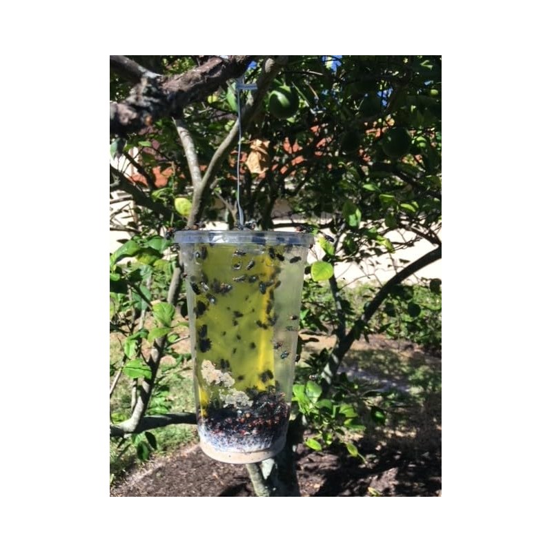 Olson Cup Trap for Flies - 5 Pack, clear/ yellow