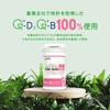 GoCLN (ゴークリーン) 葉酸 サプリメント 800μg 高配合 モノグルタミン酸型100% 妊婦 妊娠 妊活