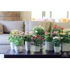 Importeek 10pz Arreglo Floral Artificial Flores Planta Decoracion Ramo