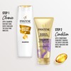 Pantene Daily Moisture Renewal Shampoo 300ml