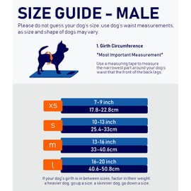 MICOOYO Washable Belly Bands for Male Dogs | Reusable Doggie Diapers | Absorbent Doggy Wraps with Adjustable Fastener - Small (Pack of 3, Elephants & Snails & Birds)