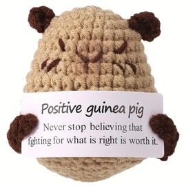 Hanmiso Positive Guinea Pig Toy Gifts Funny Crochet Positive Guinea Pig Knitted Doll with Positive Card, Mini Creative Small Gifts for Friends, Family, Party Decoration Encouragement