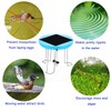 Lewisia Battery Backup Solar Wiggler for Bird Bath Solar Powered