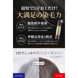 Hair Boteecra Botanical Air Color Foam EX Dark Brown 80g Mother's Day Gift