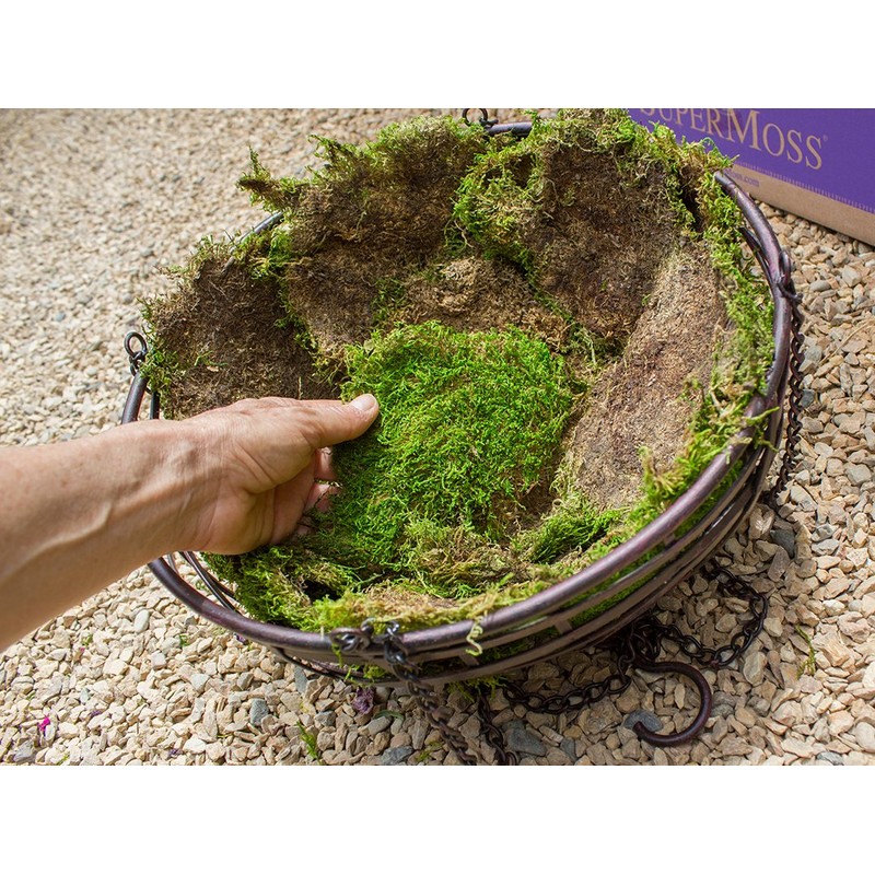 SuperMoss (21508) Preserved Sheet Moss, Fresh Green, 5 Pounds